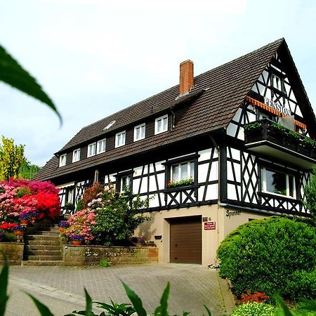 Pension Am Weinberg Sasbachwalden Bagian luar foto