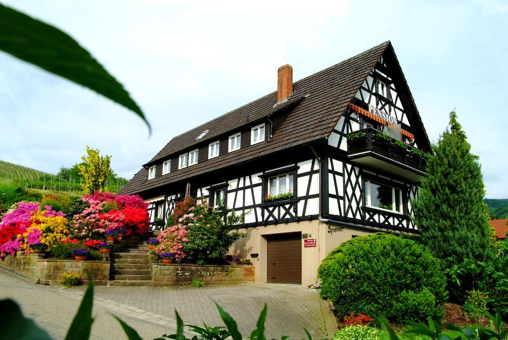 Pension Am Weinberg Sasbachwalden Bagian luar foto