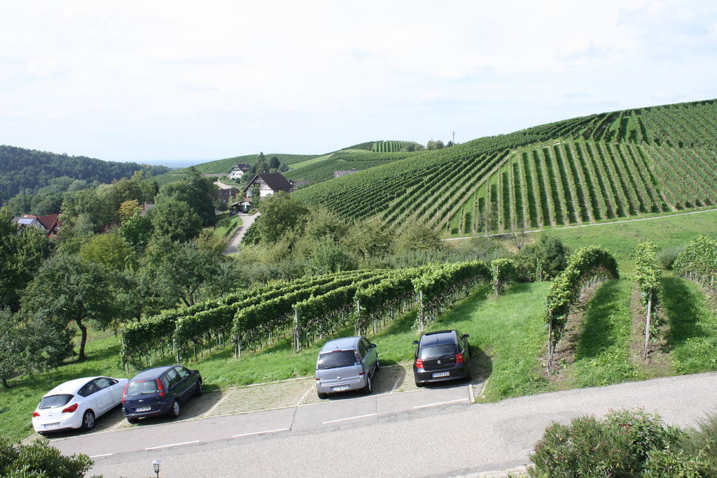 Pension Am Weinberg Sasbachwalden Bagian luar foto